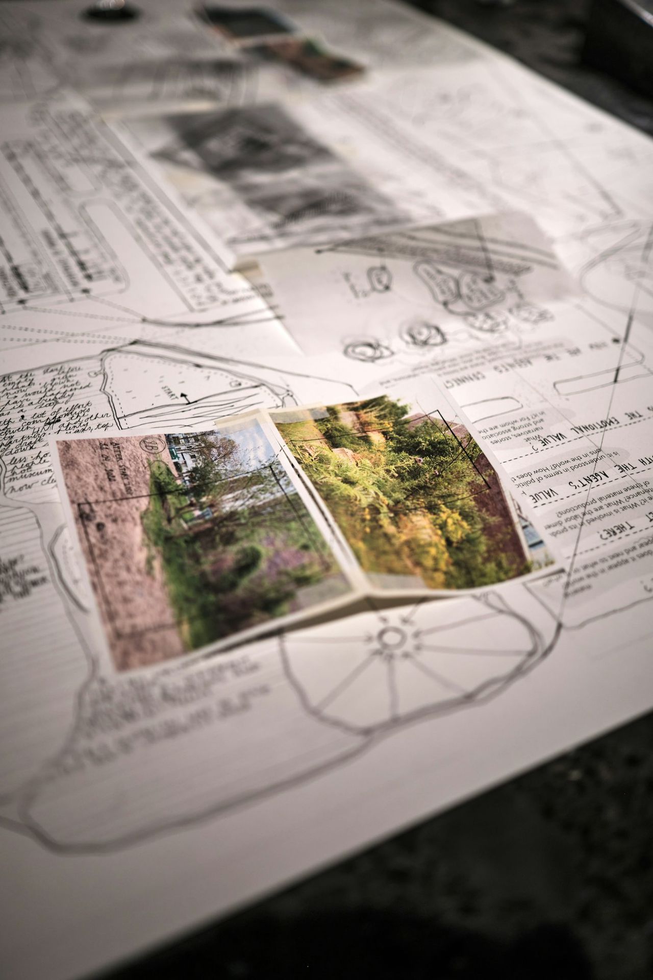 Plans de jardin annotés, croquis et photographies étalés sur une table.