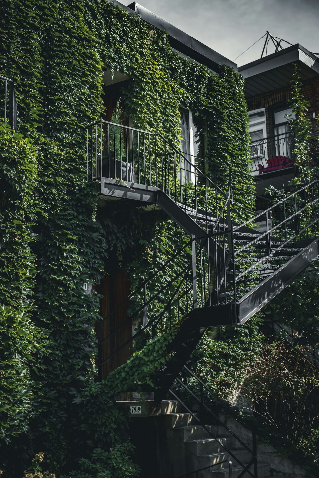 Façade couverte de vigne, escalier métallique en filigrane